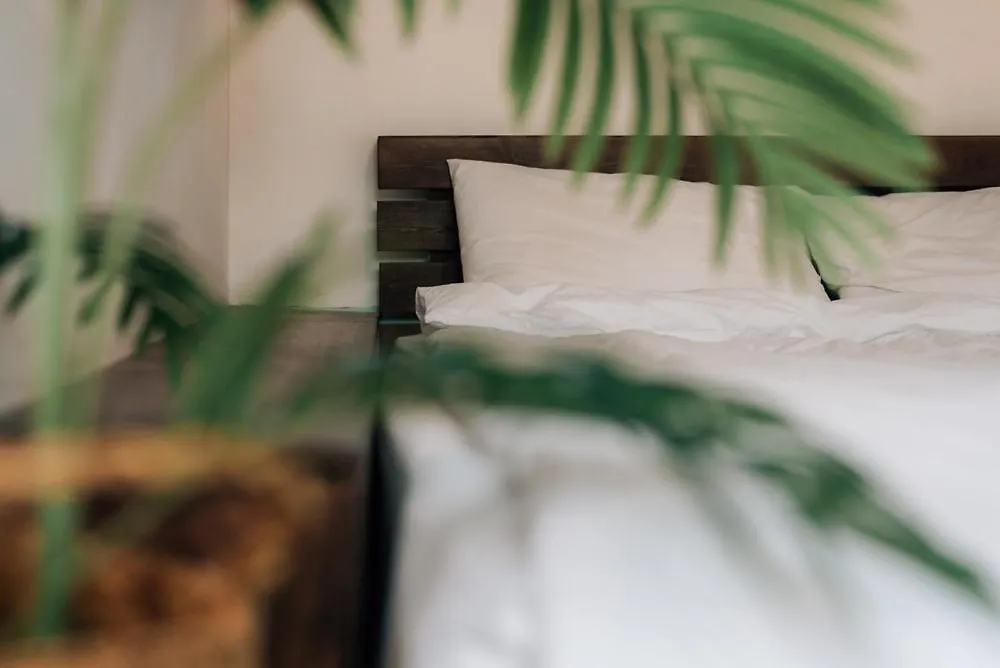 Jeju Dokchae Pension Doldam House Batdam Branch Guest house