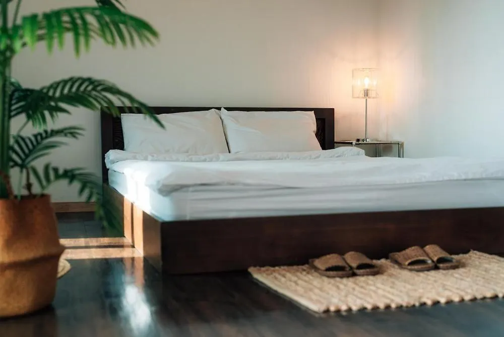 Guest house Jeju Dokchae Pension Doldam House Batdam Branch